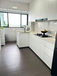 Blk 550A Segar Palmview (Bukit Panjang), HDB 4 Rooms #536431061